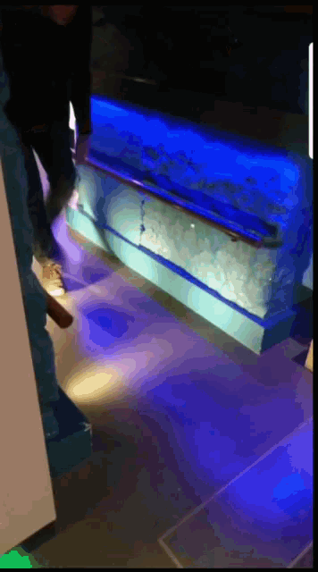 a person is standing in front of a large tank of fish