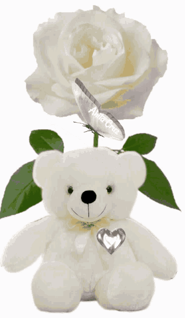a white teddy bear is sitting next to a white rose and a butterfly with the name anita gaz written on it