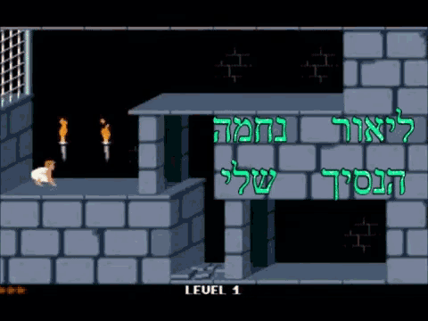 a screenshot of a video game with hebrew writing on it
