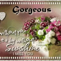 Gorgeous For You GIF - Gorgeous For You I Miss You GIFs