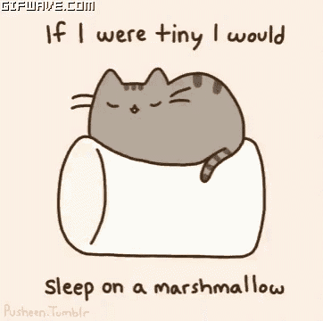 a cat is sleeping on a marshmallow with the words `` if i were tiny i would sleep on a marshmallow ''