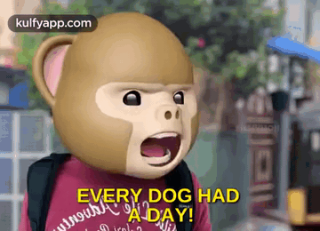 Every Dog Has A Day.Gif GIF