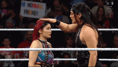 two women in a wrestling ring with one holding a sign that says " no normal friend "