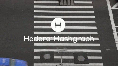 Hedera Hashgraph GIF - Hedera Hashgraph Hbar GIFs