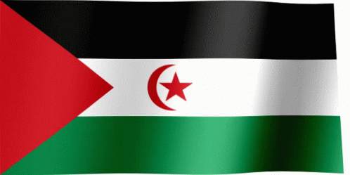 Flag Waving Flag GIF - Flag Waving Flag Western Sahara GIFs