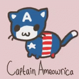 Cat Captain GIF