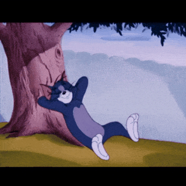 Tom E Jerry GIF - Tom E Jerry GIFs