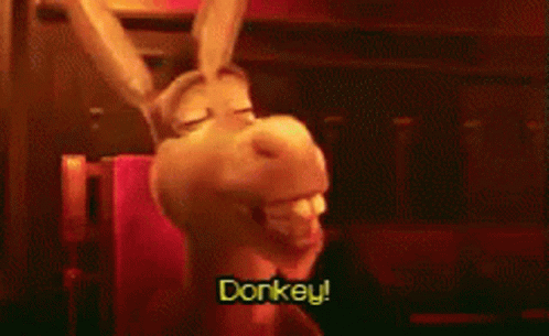 Donkey Donkey In Shrek GIF - Donkey Donkey In Shrek Happy GIFs