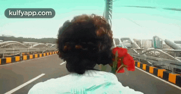 a person is holding a red rose in their hand while walking down a highway .