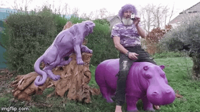 a man with purple hair is riding a purple hippopotamus