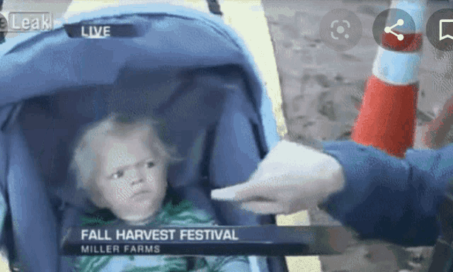 a child in a stroller is being interviewed by a reporter for the fall harvest festival at miller farms