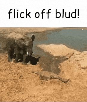 an elephant and a crocodile are near a body of water with the words flick off blud