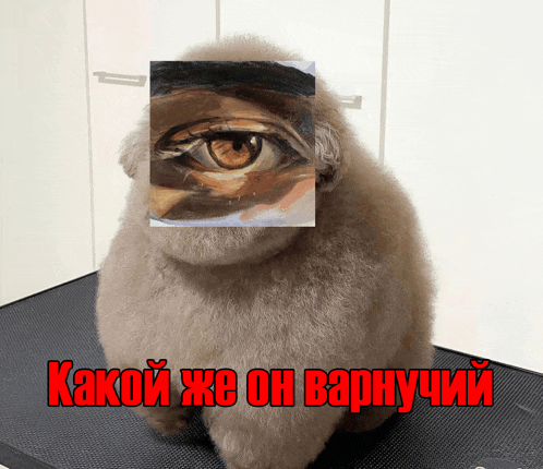 a stuffed animal with a painting of an eye in front of its face