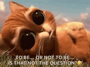 To Be Or Not To Be That Is The Question GIF - To Be Or Not To Be That Is The Question Cute GIFs