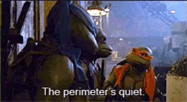 two teenage mutant ninja turtles are standing next to each other and one of them says the perimeter 's quiet .