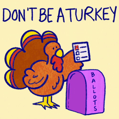 Dont Be A Turkey Go Vote GIF - Dont Be A Turkey Go Vote Turkey GIFs