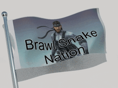 a flag that says brawl snake nation with a picture of snake on it