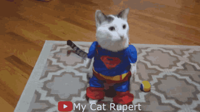 Super Cat Super Hero GIF - Super Cat Super Hero Halloween GIFs