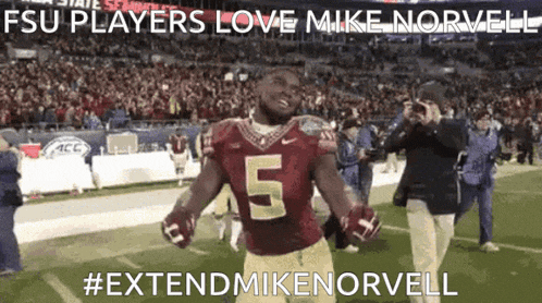 a football player with the number 5 on his jersey stands on a field