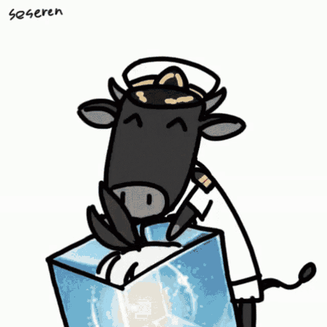a cartoon drawing of a person sitting on a cube with the name soseren written below it