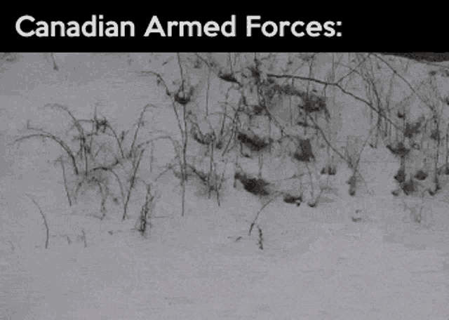 Canadian Armed Forces Snow GIF - Canadian Armed Forces Snow Gun GIFs