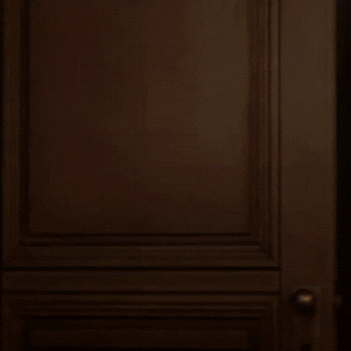 a silhouette of a person is visible through a door