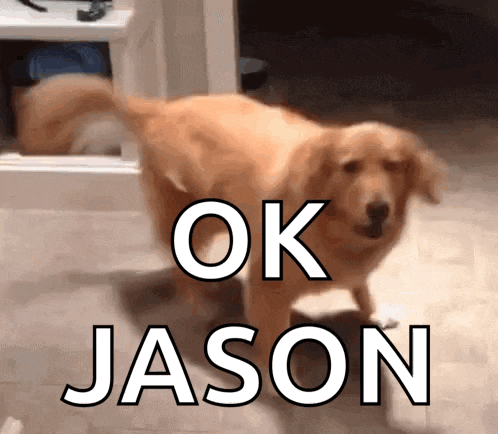 a dog with the word jason on it