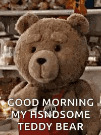 a teddy bear is standing in front of a shelf and says `` good morning , my handsome teddy bear '' .