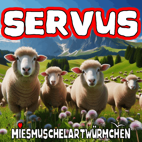 Servus Moin GIF - Servus Moin GIFs