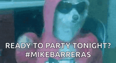 a dog is wearing sunglasses and a pink hoodie and says `` ready to party tonight ? ''