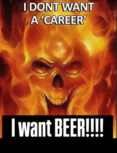 a poster with a skull and the words " i dont want a career "