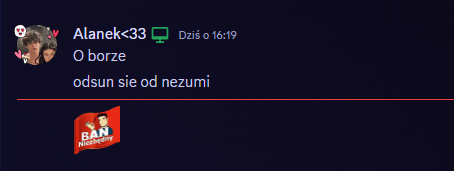 a screenshot of a conversation with alanek < 33
