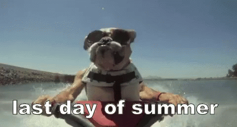End Of Summer GIF - End Of Summer Summer Last Day Of Summer GIFs