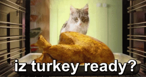 Thanksgiving Turkey GIF - Thanksgiving Turkey Waiting For Dinner GIFs