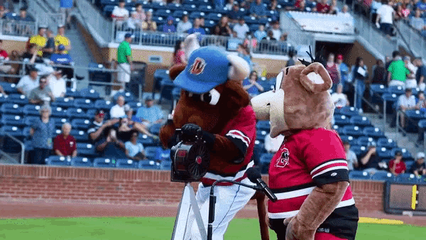 two mascots standing on a baseball field with one wearing a blue hat with the letter u on it