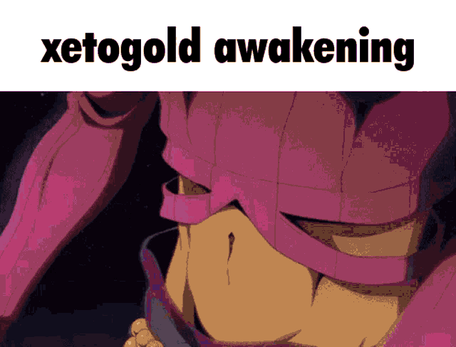 a picture of a person with the word xetogold awakening on it