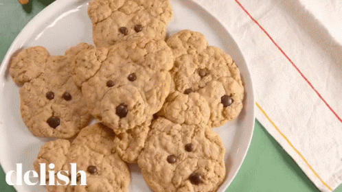 Cookie Bear GIF - Cookie Bear Oatmeal Cookie GIFs