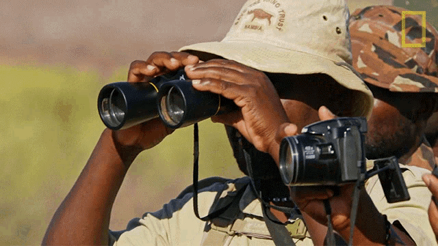 Over There Protecting The Black Rhinos GIF - Over There Protecting The Black Rhinos Mission Critical GIFs