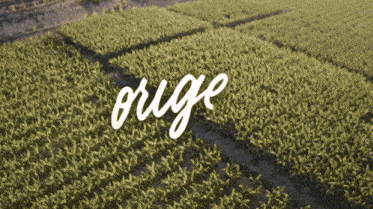 an aerial view of a field with the word orge written on the bottom