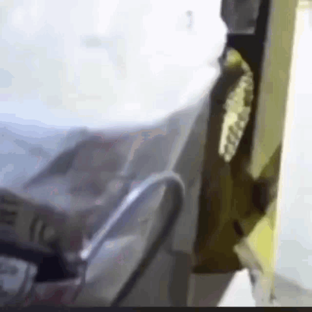 a snake is crawling out of a plastic bag in a room .