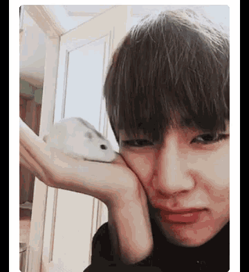 Taehyung Hamster GIF - Taehyung Hamster Pet GIFs