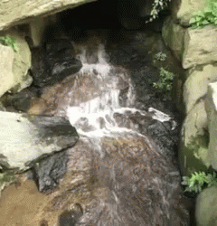 Water Stream GIF - Water Stream Waterfall GIFs