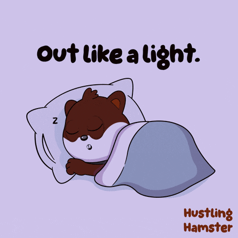 an illustration of a bear sleeping with the words out like a light hustling hamster below it