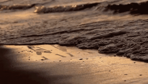 Poetry GIF - Beach Sea Waves GIFs