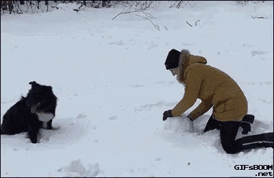 a woman is kneeling in the snow playing with a small dog .