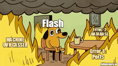 Flashloutre GIF - Flashloutre GIFs