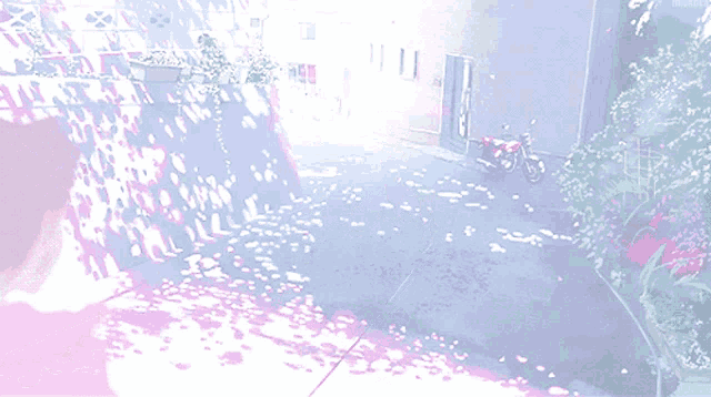 a person walking down a street with flowers on the ground