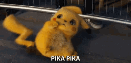 a pika pika laying on the ground with a fence behind it