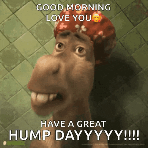 a cartoon character says good morning love you have a great hump day yy !!!