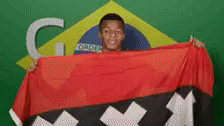 Fan Goal GIF - Fan Goal Brazil Flag GIFs